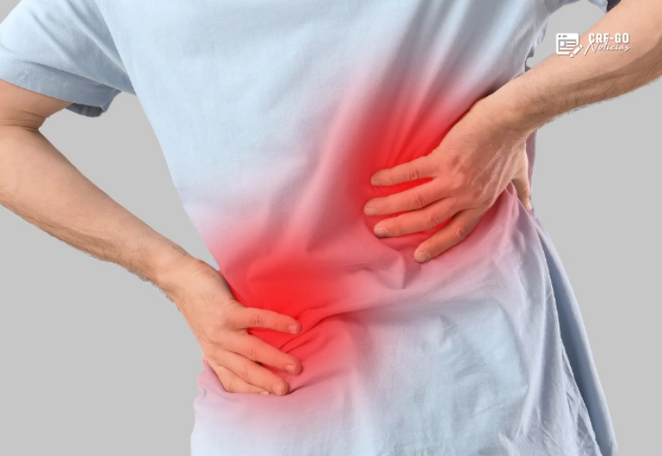 CRF-GO | Ministério mantém veto e negação da multa no SUS