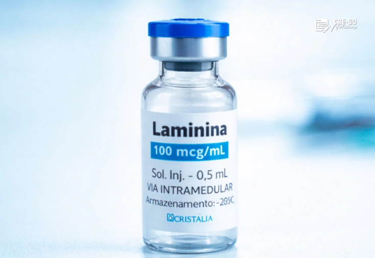 CRF-GO | Polilaminina poderá ser oferecida gratuitamente pelo SUS após aprovação regulatória