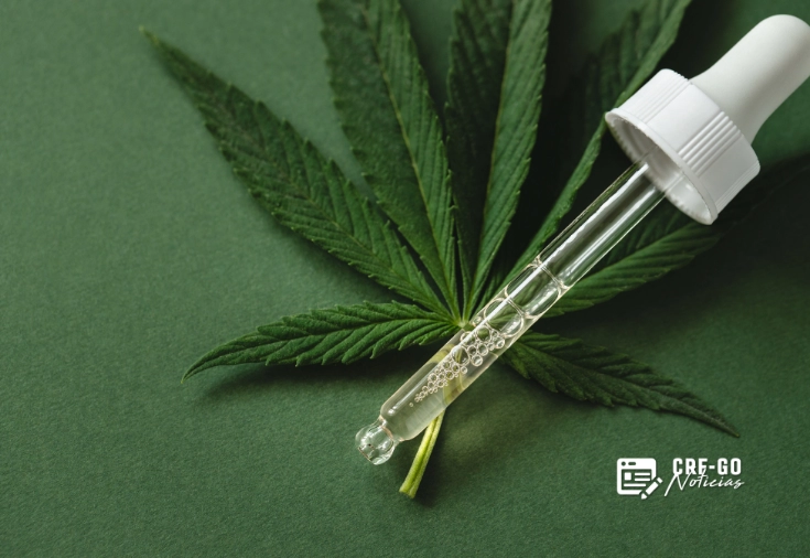 CRF-GO | Anvisa proíbe venda e divulgação de medicamentos à base de cannabis sem autorização sanitária