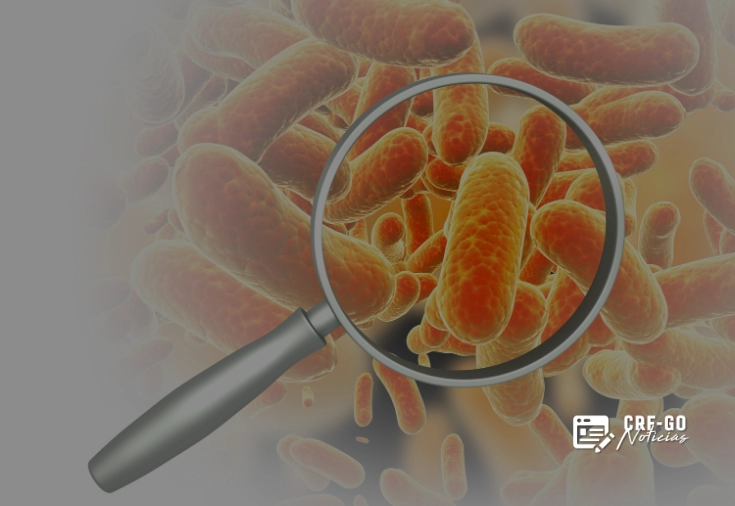 CRF-GO | OMS reforça prioridade no desenvolvimento de novos antibióticos contra bactérias resistentes
